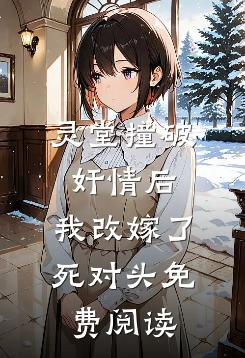 灵堂撞破奸情后，我改嫁了死对头免费阅读