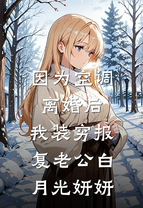 因为空调离婚后，我装穷报复老公白月光妍妍