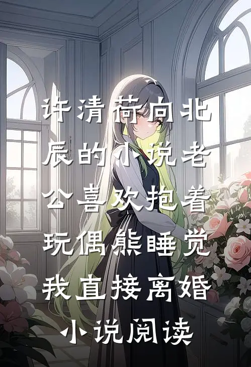 许清荷向北辰的小说老公喜欢抱着玩偶熊睡觉，我直接离婚小说阅读