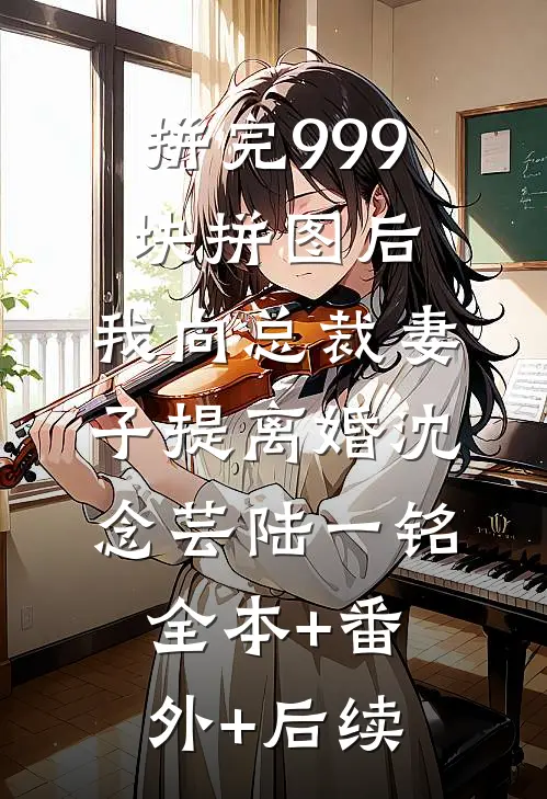 拼完999块拼图后，我向总裁妻子提离婚沈念芸陆一铭:全本+番外+后续