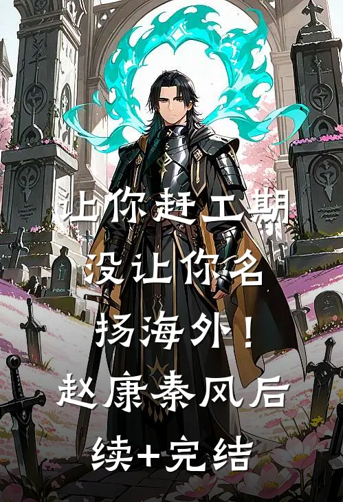 让你赶工期，没让你名扬海外！赵康秦风后续+完结