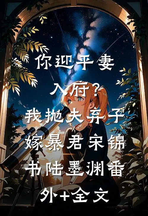 你迎平妻入府？我抛夫弃子嫁暴君宋锦书陆墨渊(番外)+(全文)