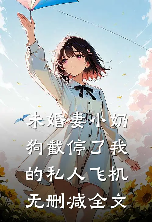 未婚妻小奶狗截停了我的私人飞机无删减全文