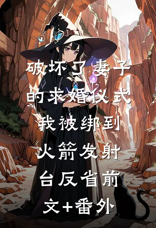 破坏了妻子的求婚仪式，我被绑到火箭发射台反省前文+番外