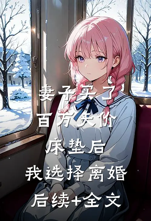 妻子买了百万天价床垫后，我选择离婚后续+全文