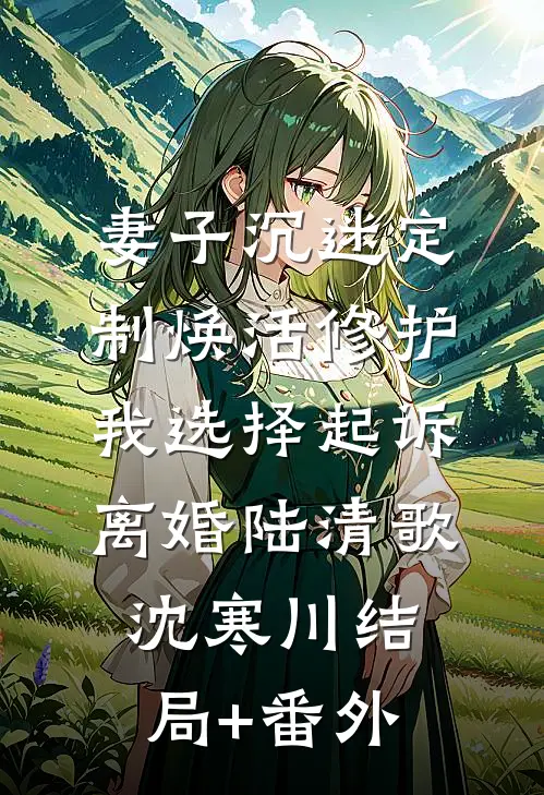 妻子沉迷定制焕活修护，我选择起诉离婚陆清歌沈寒川结局+番外