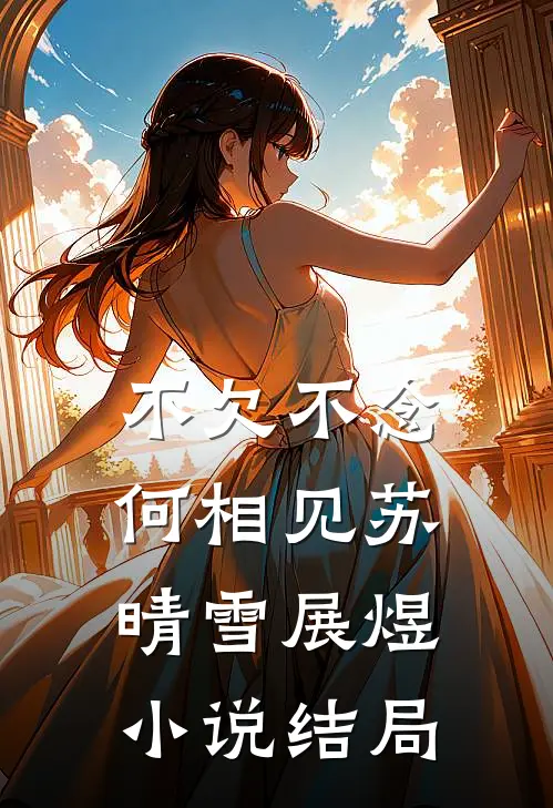 不欠不念何相见苏晴雪展煜小说结局