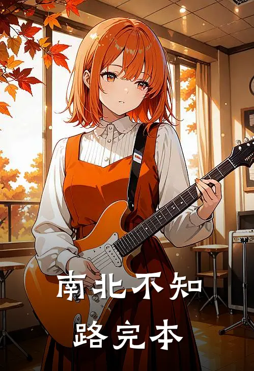 南北不知路完本