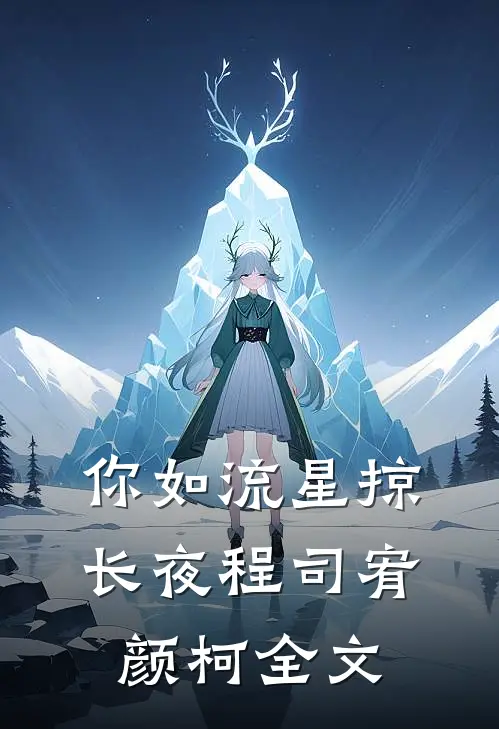 你如流星掠长夜程司宥颜柯全文