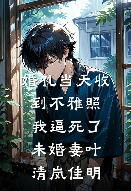 婚礼当天收到不雅照，我逼死了未婚妻叶清岚佳明