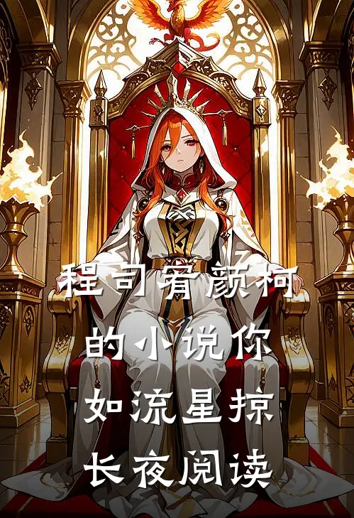 程司宥颜柯的小说你如流星掠长夜阅读