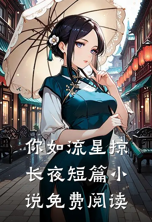 你如流星掠长夜短篇小说免费阅读