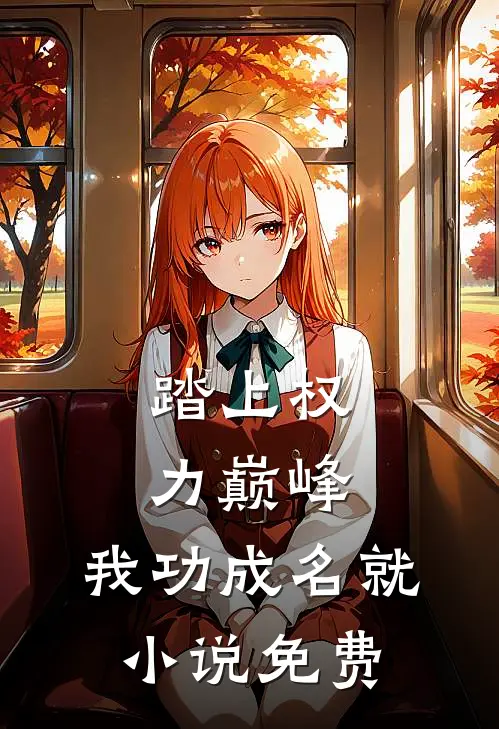 踏上权力巅峰，我功成名就小说免费