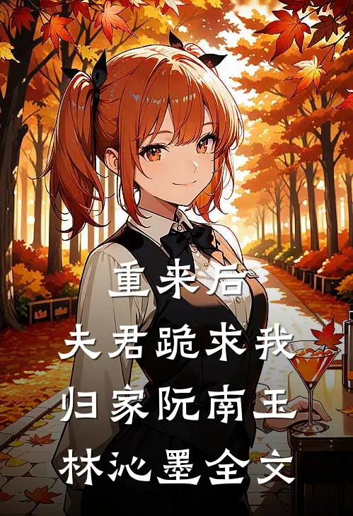 重来后，夫君跪求我归家阮南玉林沁墨全文